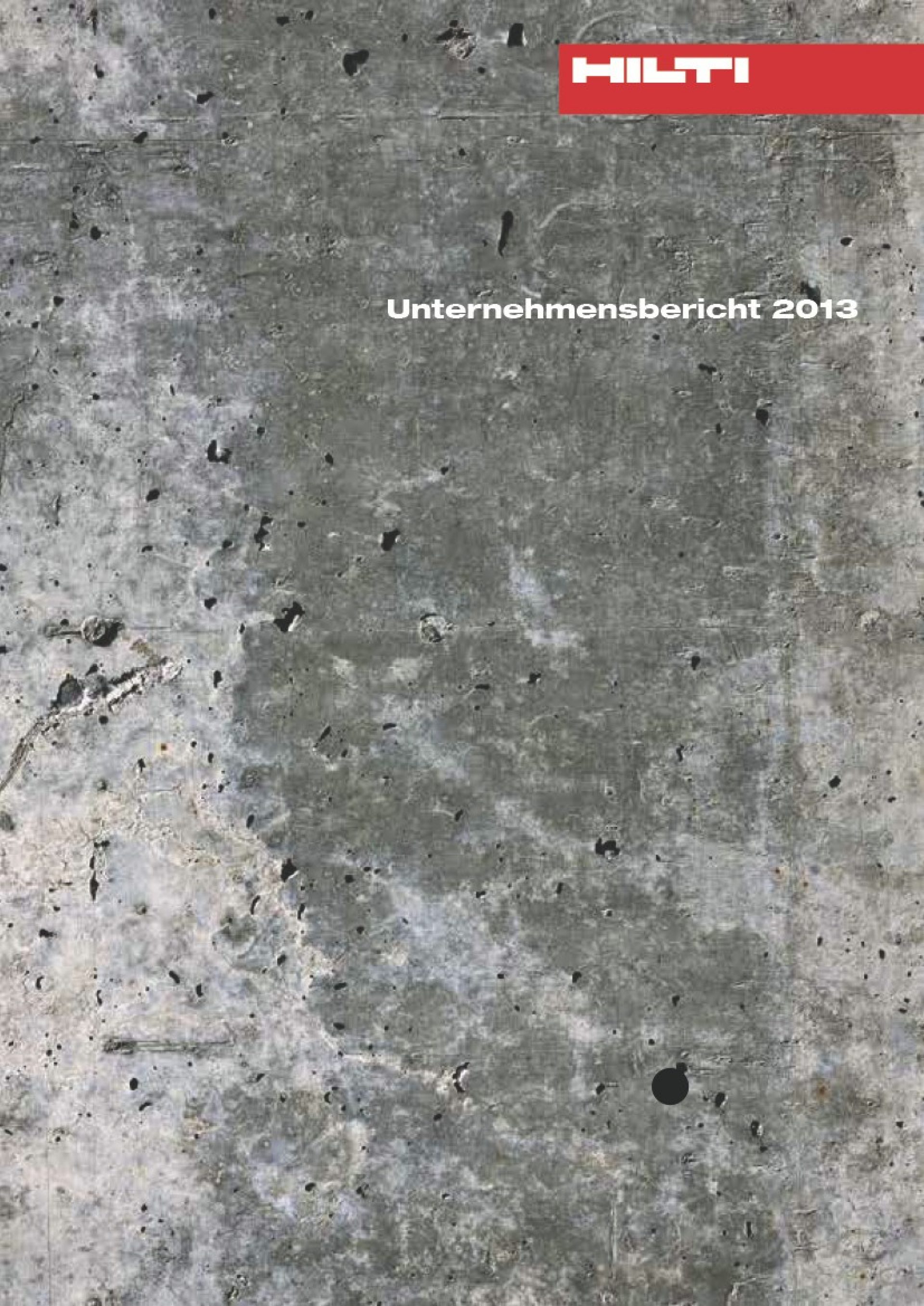 Unternehmensbericht 2013