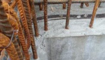 Image alt text (optional)